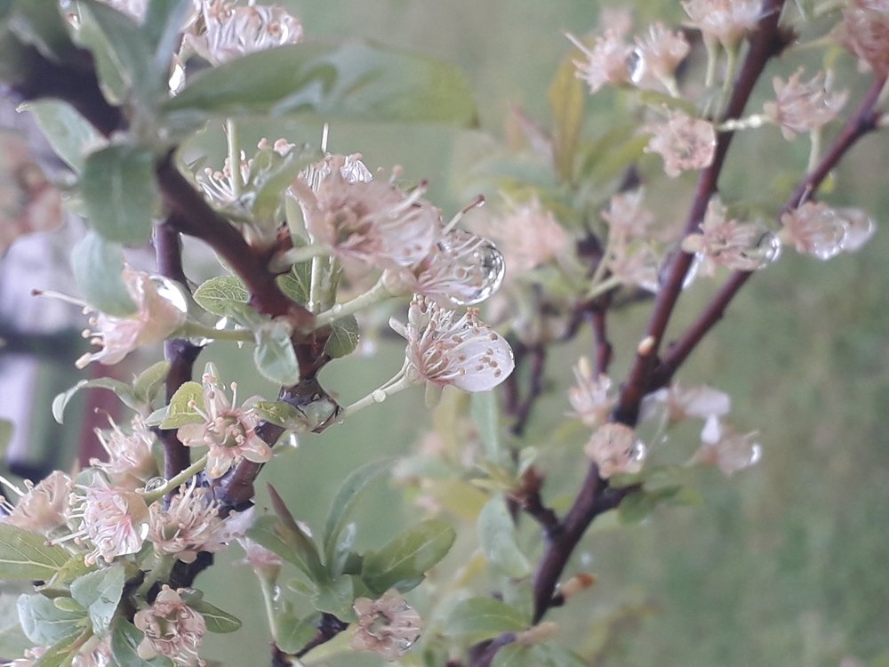 Photograph by Валерий