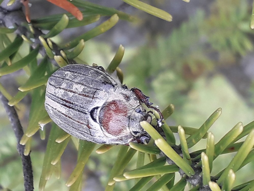 Photograph by Валерий