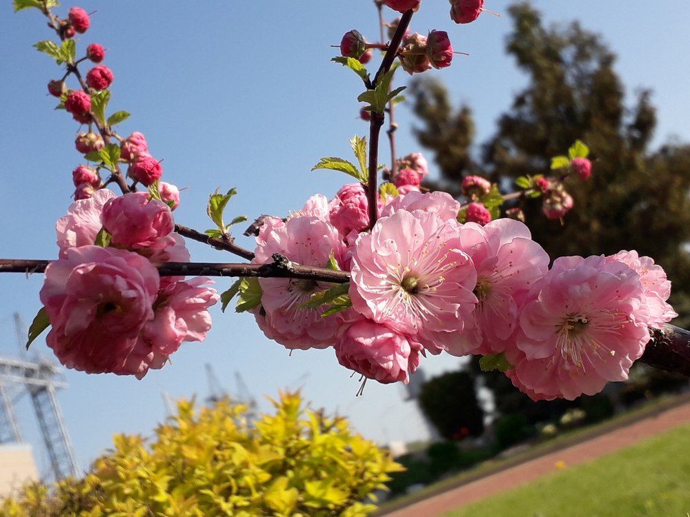 Photograph by Валерий