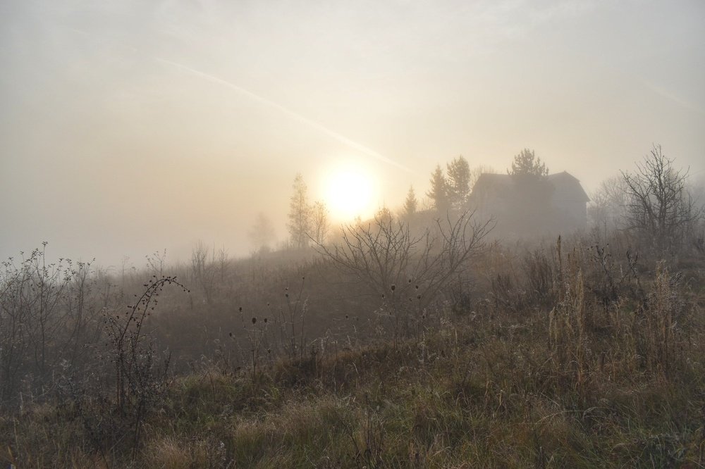 Рассвет осенью в д. Гудовка, Липецкий район