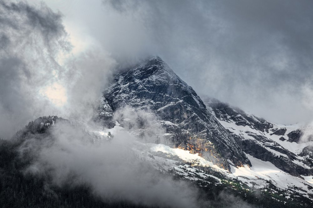 Photograph by Brian Adamson