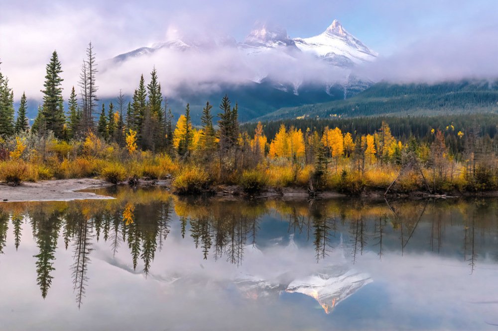 Photograph by Brian Adamson