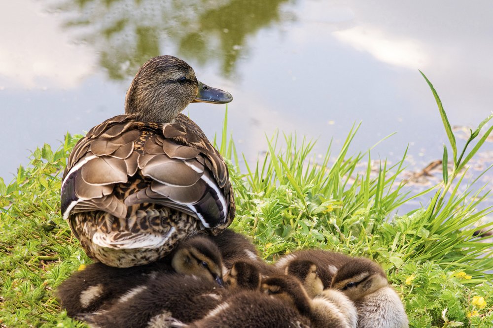 Photograph by Lucia Urblikova