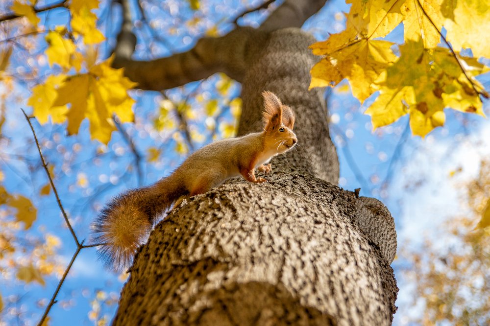Photograph by Андрей Скрыльков