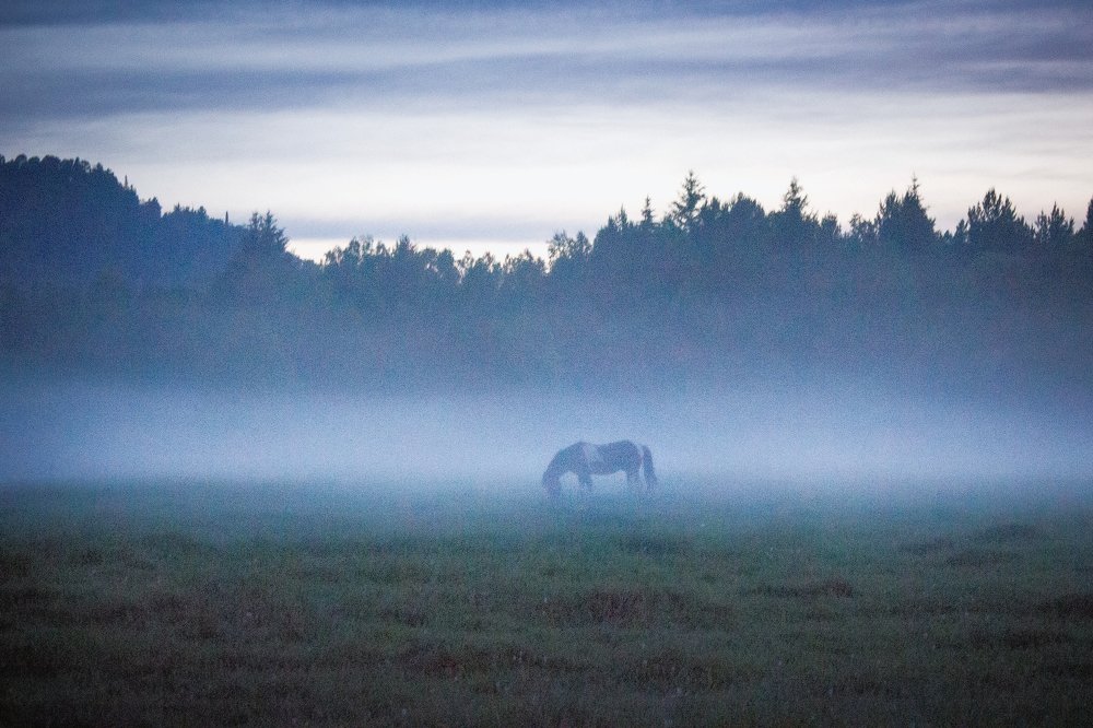 Photograph by Ксения Мизгирева