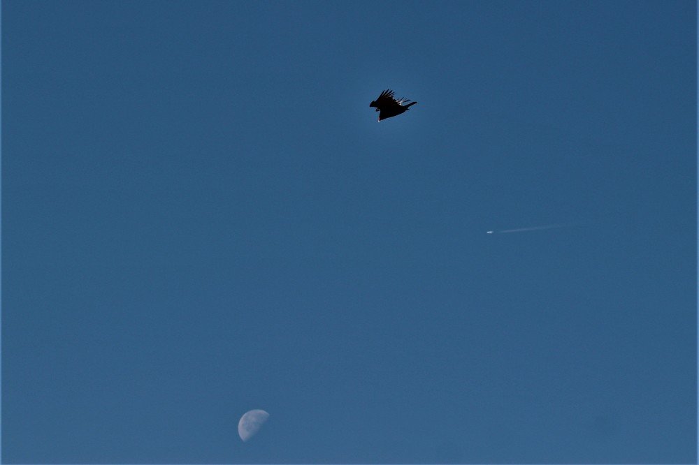 Photograph by Vicente Rodriguez-González