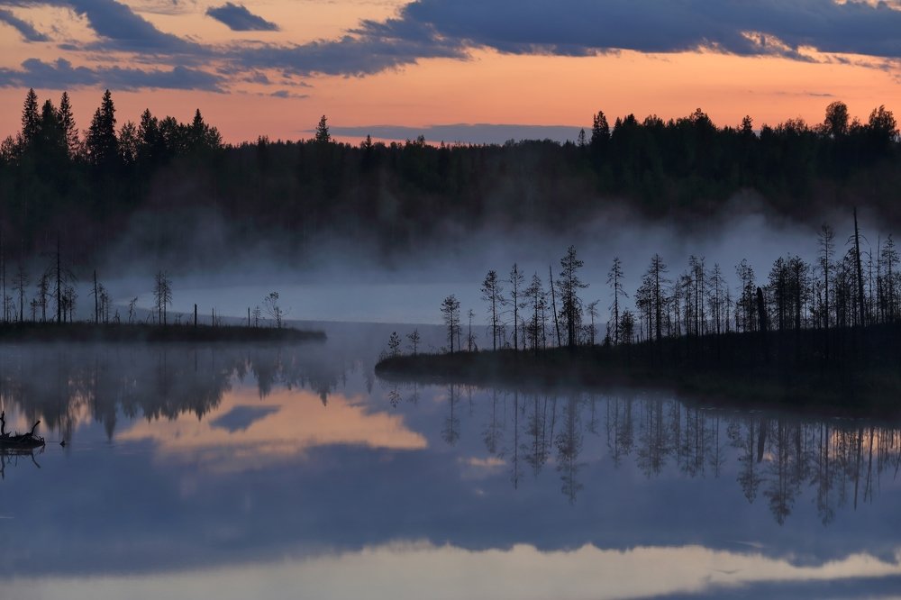 Туманная тишина.