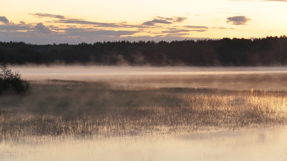 Похоладало.