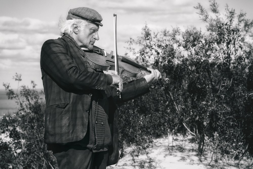 Symphony for the bushes