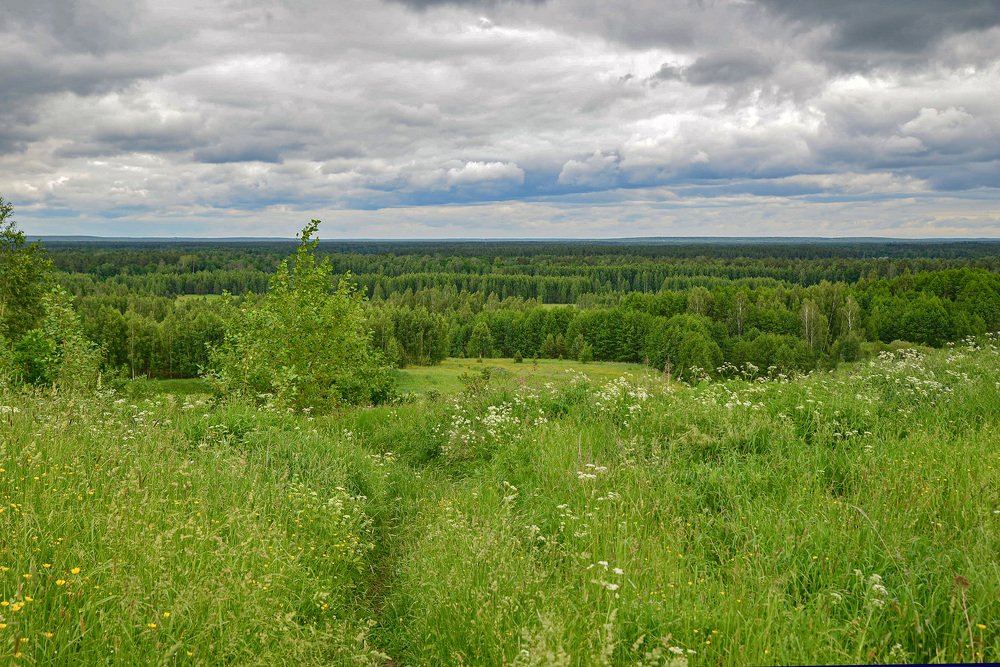 Photograph by Эдуард Шадров