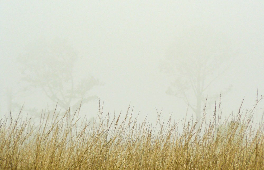 Photograph by Laura Vázquez