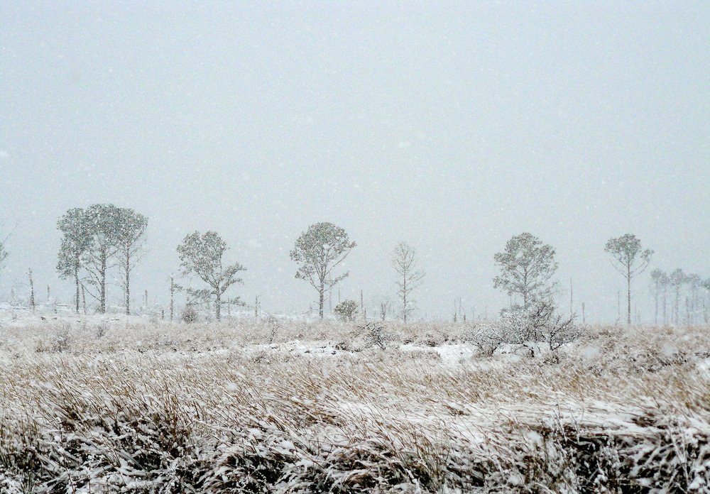 Photograph by Laura Vázquez