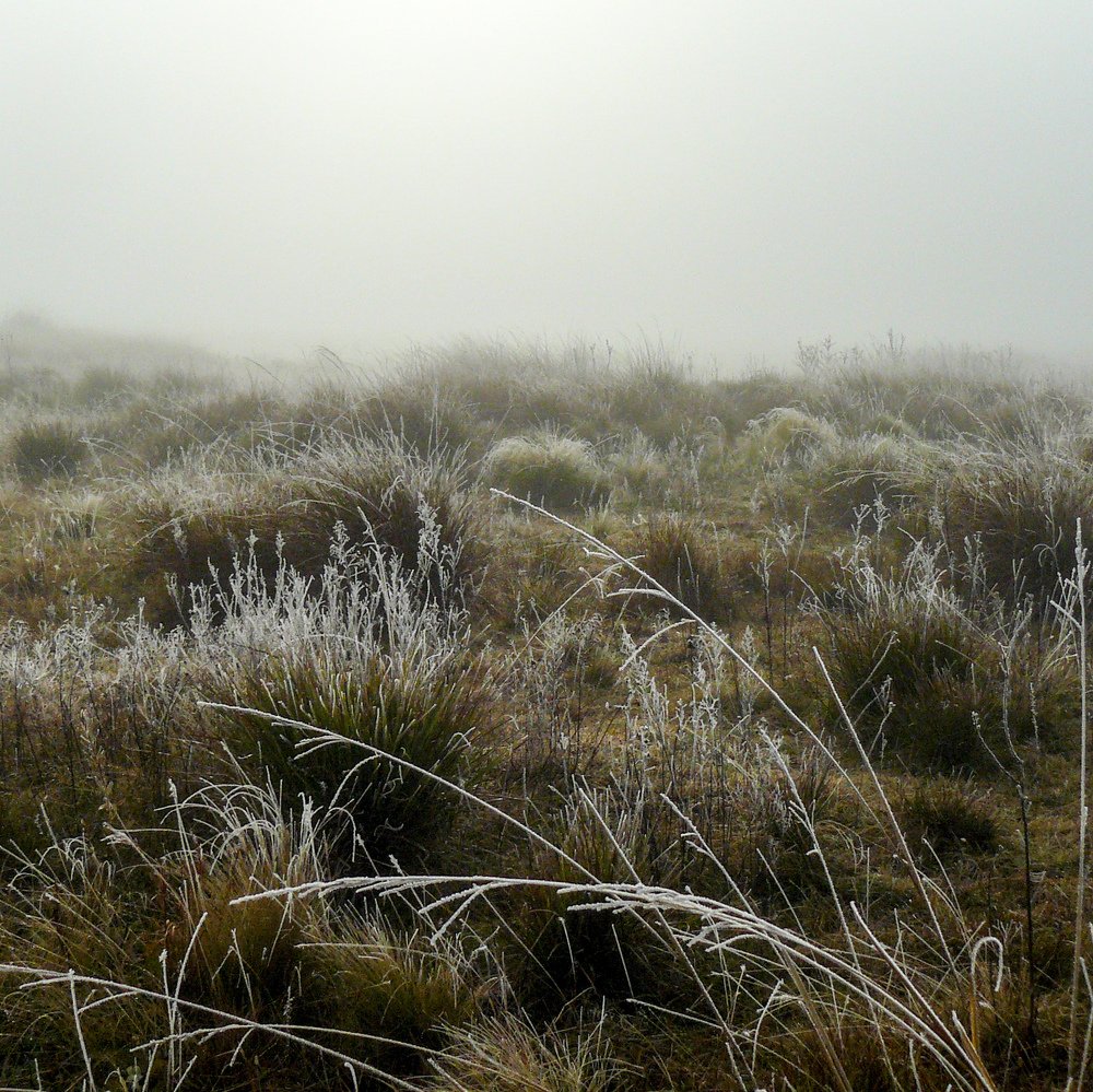 Photograph by Laura Vázquez