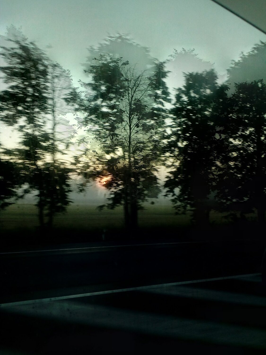 Photo #4666685