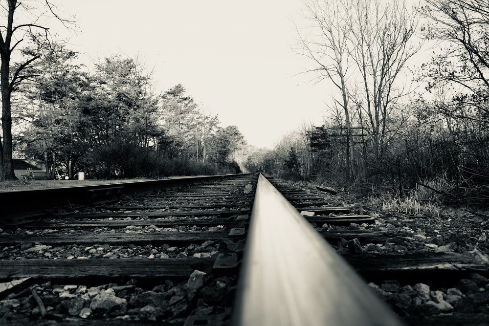 Photograph by Lizy Lizych