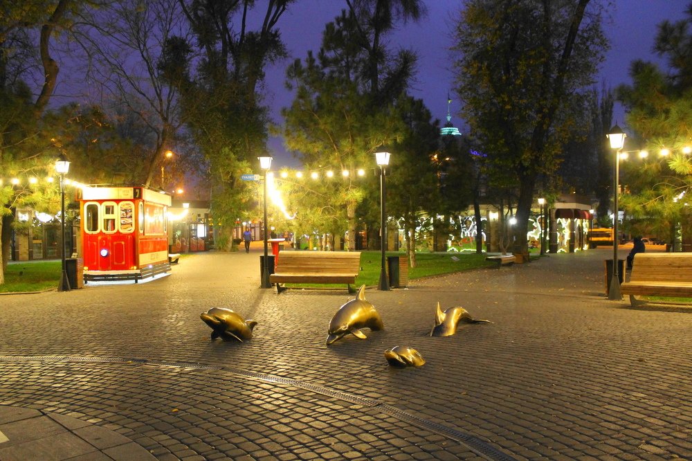 Dolphins....Дельфины