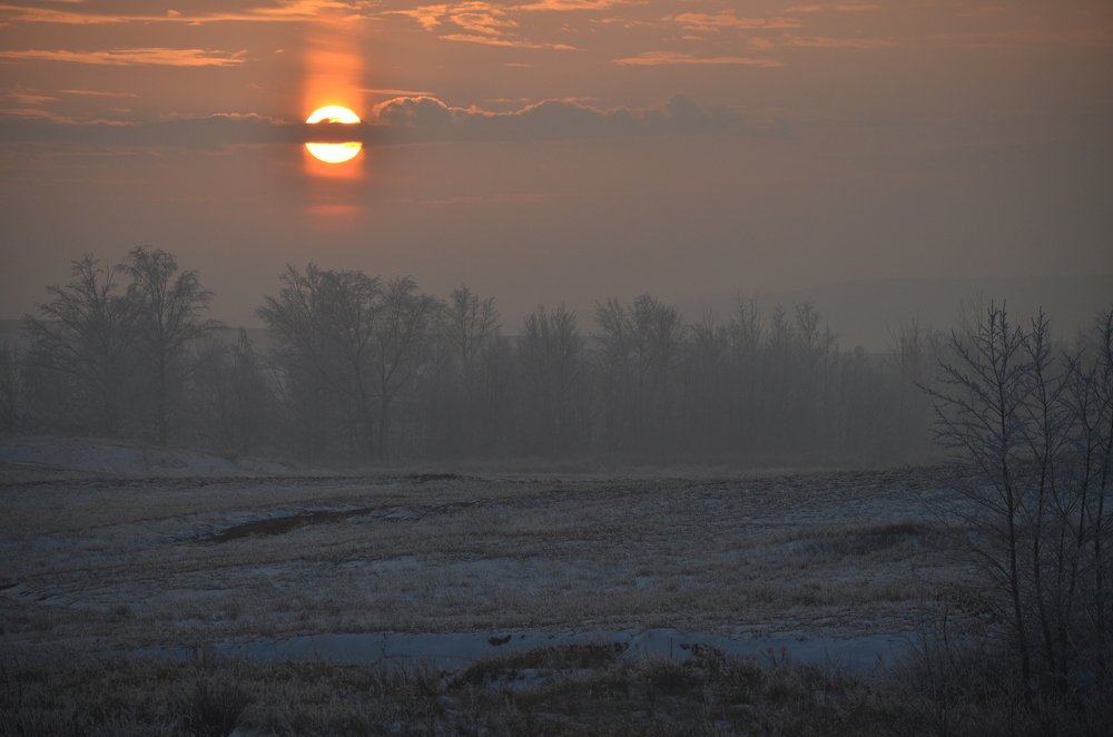 Photograph by Юрий Курынов