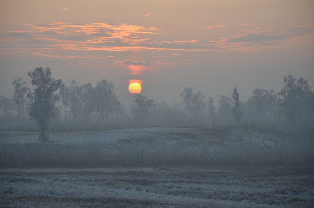 Photograph by Юрий Курынов
