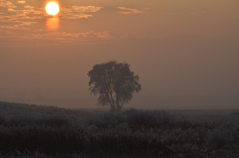 Photograph by Юрий Курынов