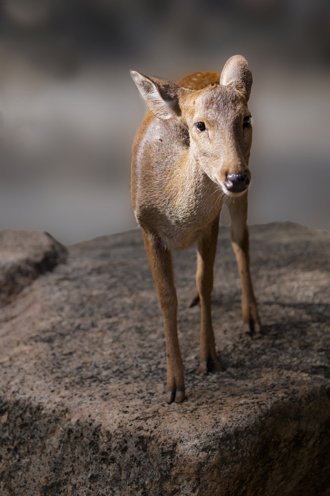 Photograph by Валерия Кузнецова