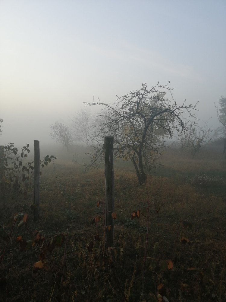 Photograph by Александр Симонов