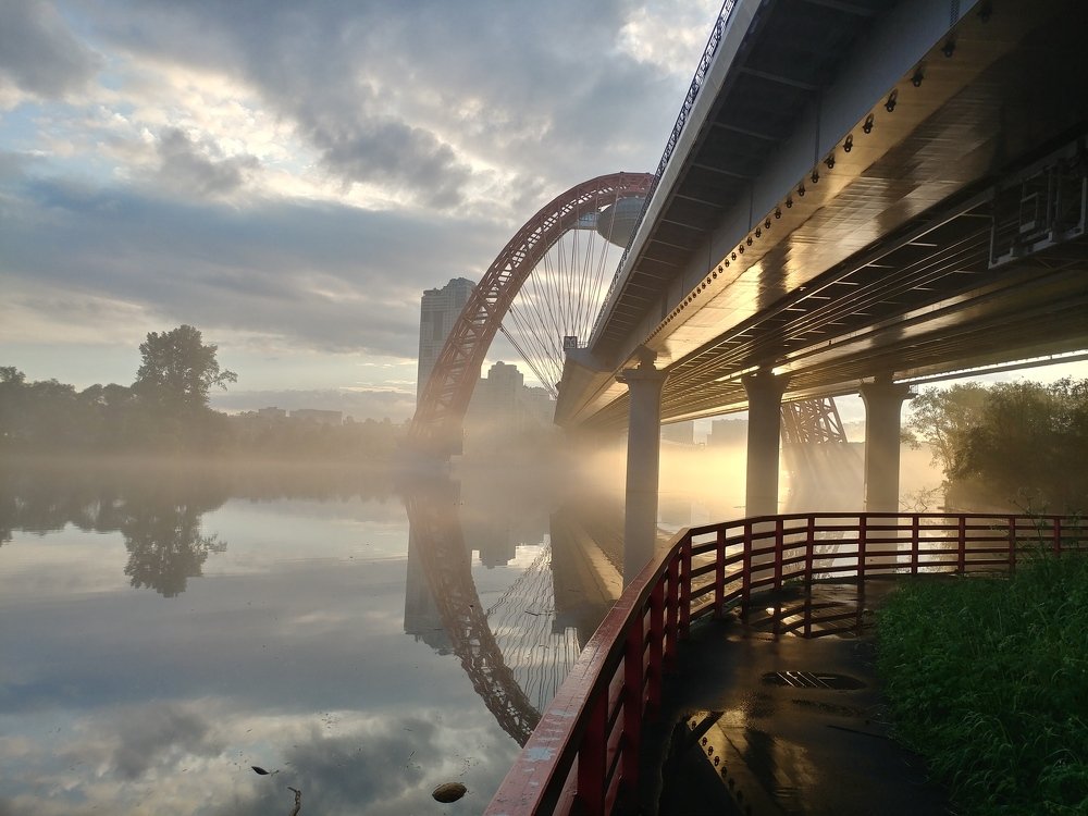Photo #4666991