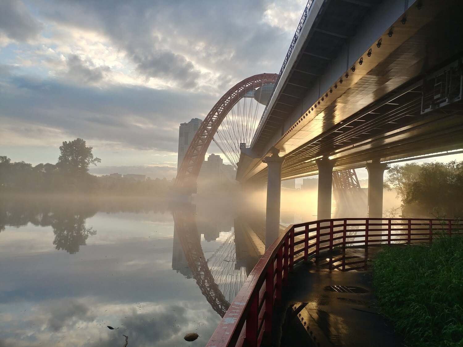 Photo #4666991