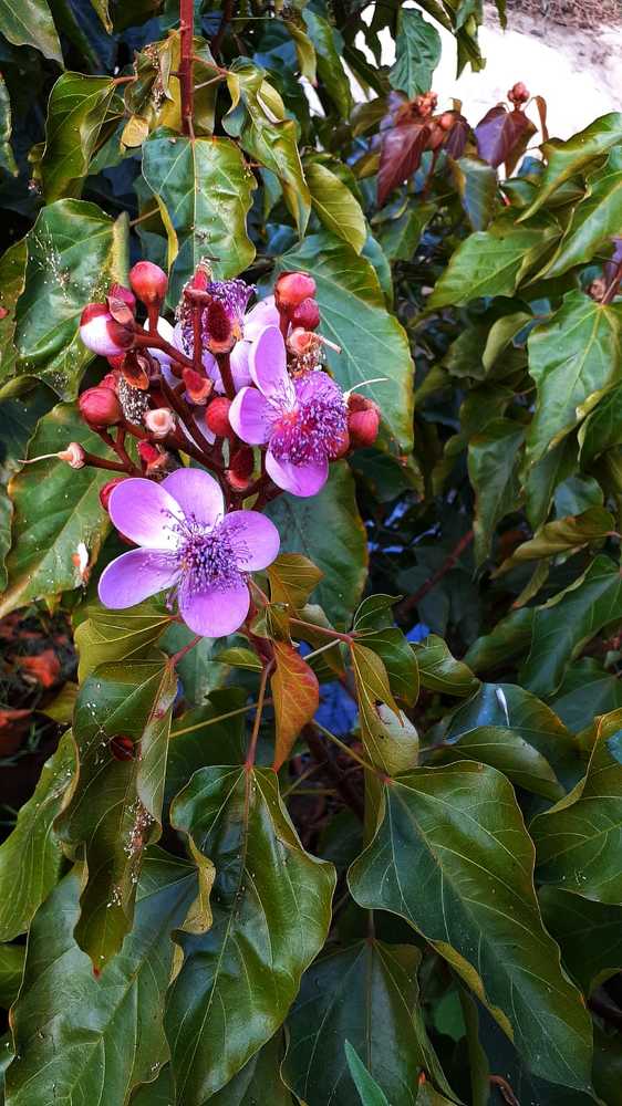 Photograph by Lady Thalia Rodríguez Mejía