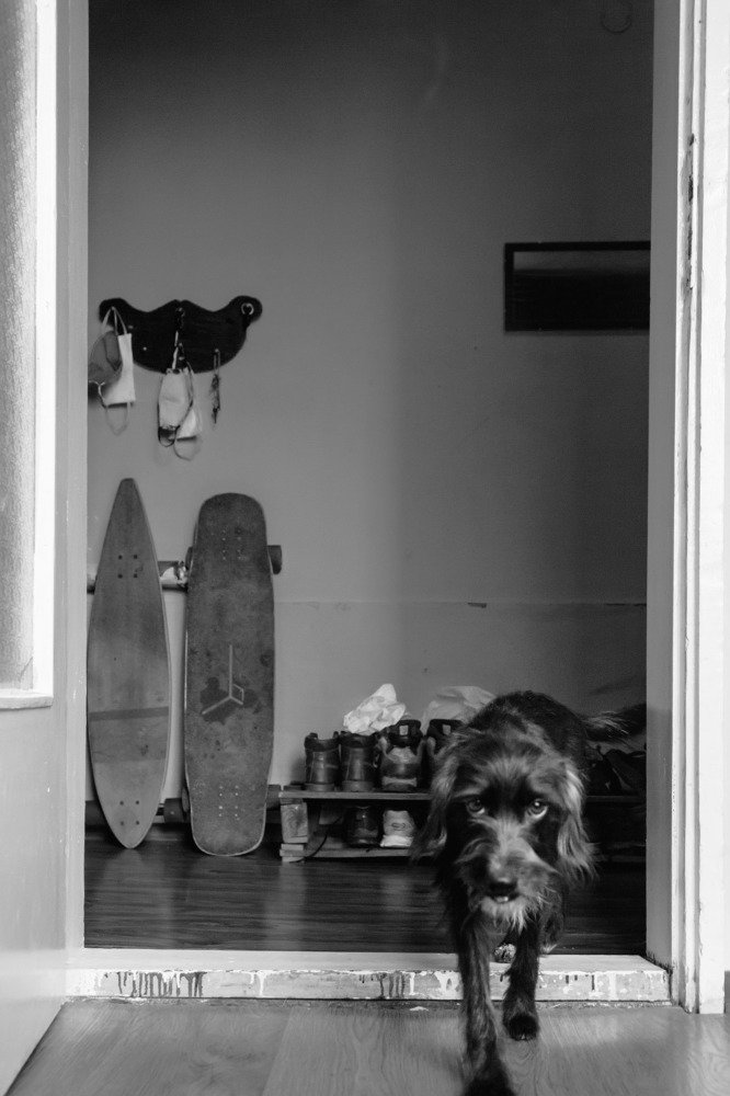 Фотография автора Ivelina Petkova