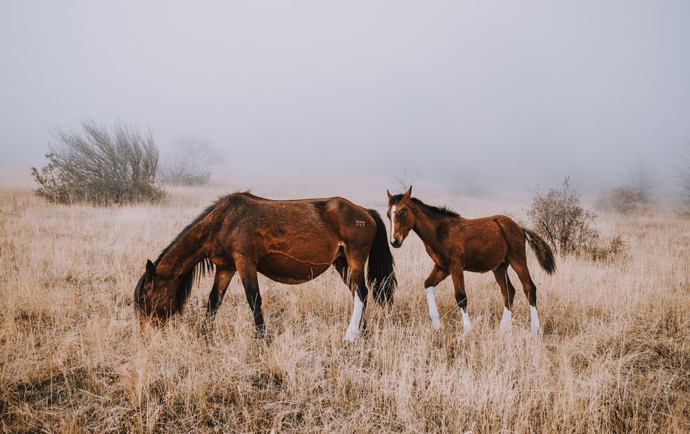 Photograph by Эдгар Черкасов