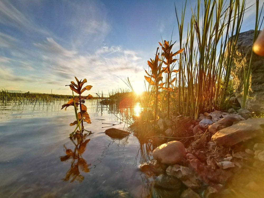 Photograph by Александр Разумов