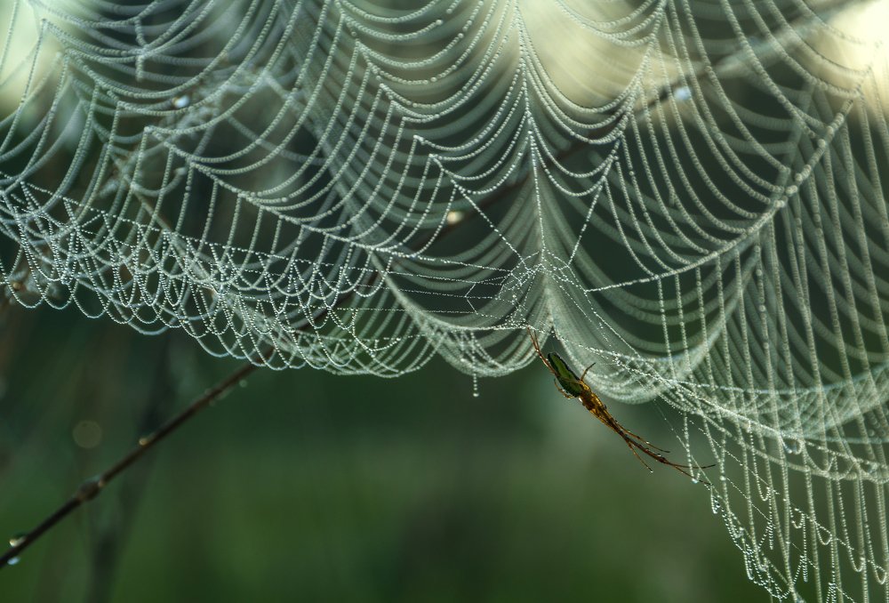 Photograph by Наталия Мостовая