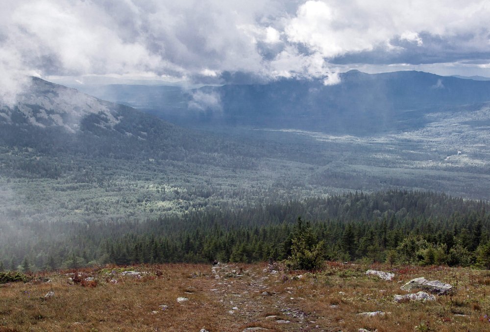 Photograph by Эльвира Сагдиева