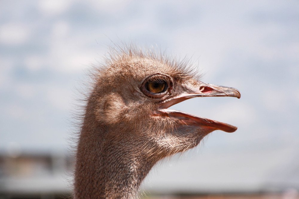 Photograph by Светлана Беляева