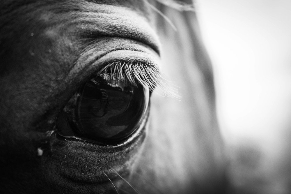 Photograph by Tammy Nortier