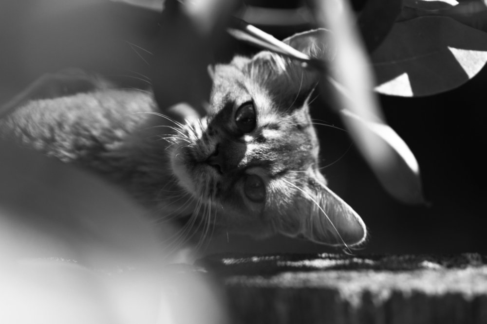 Photograph by Ольга Маркина