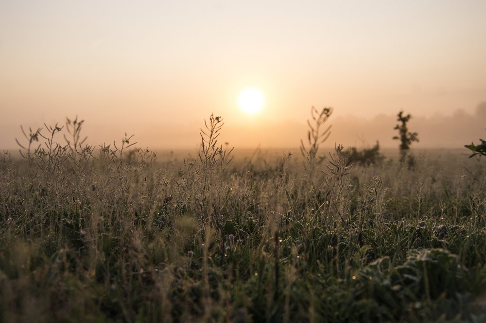 Photograph by Анна Соколова