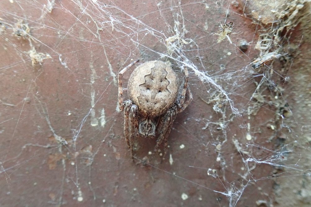 Photograph by Сергей BULGAKOV