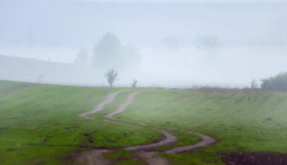 Photograph by Анна Соколова