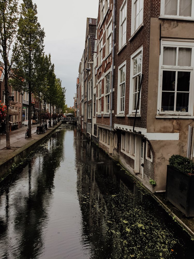 Photograph by Tammy Nortier