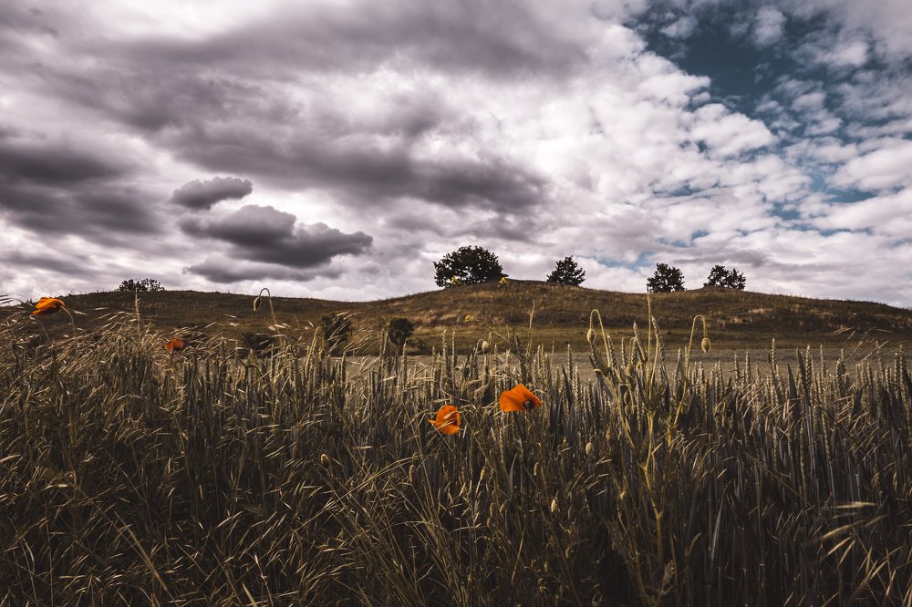 Kopeč Nature Reserve
