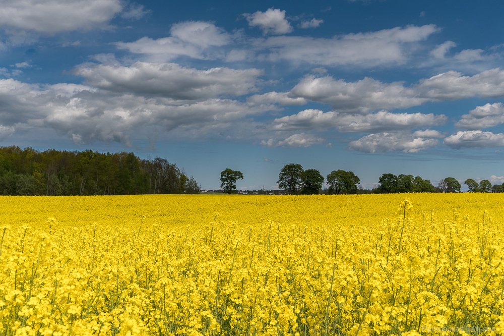 Photograph by Татьяна Рутковская