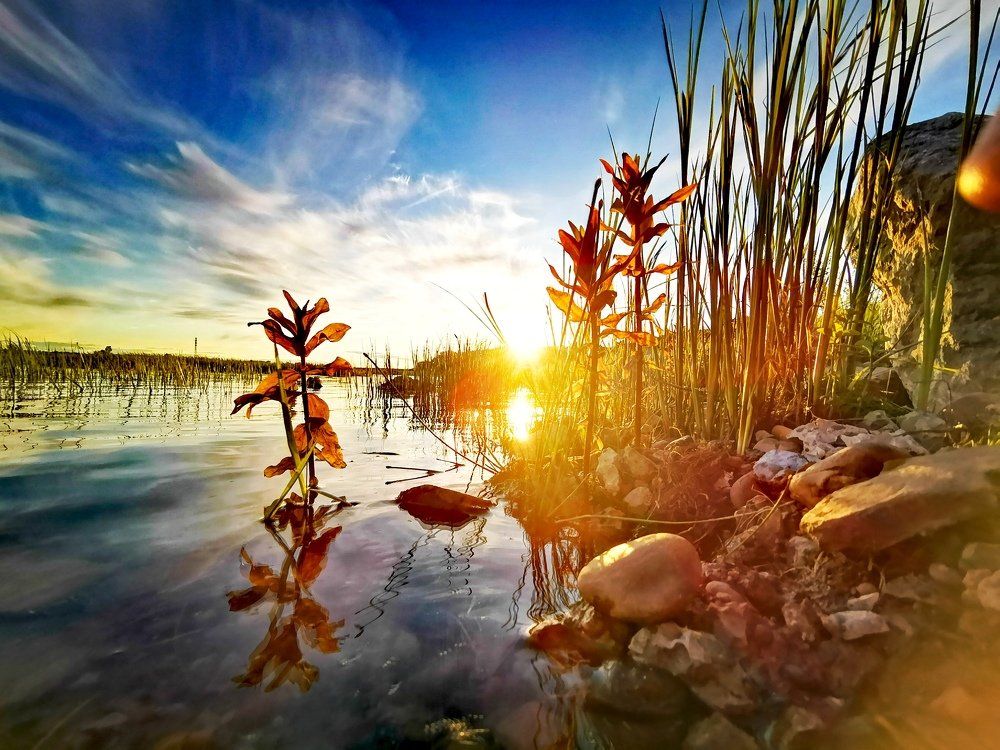 в луче света