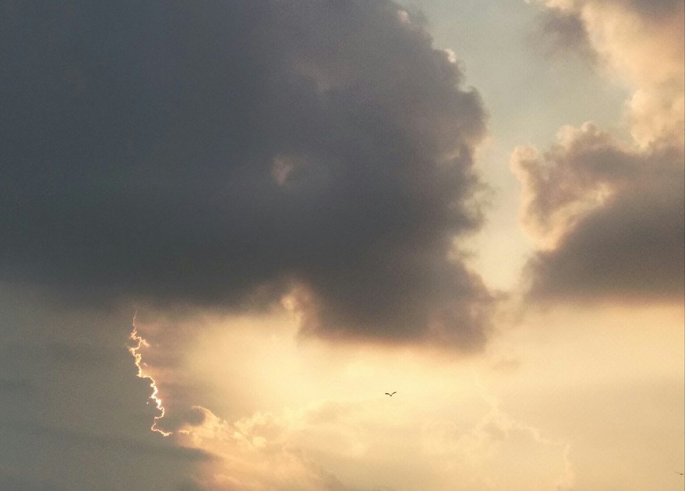 Photo #4667740