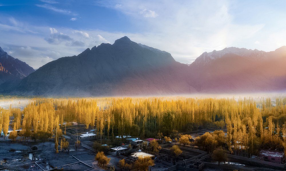 “In its autumn, Tint of Gold.”