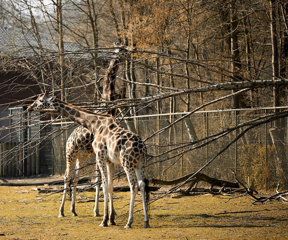 Photograph by Наталья Шалкевич