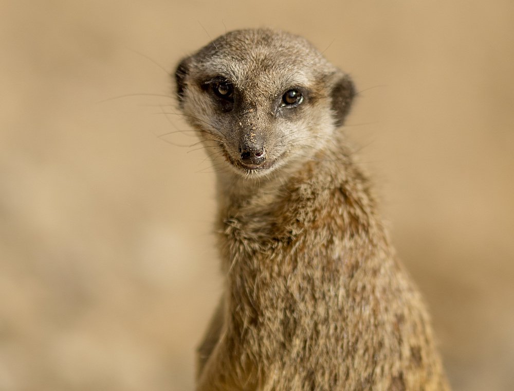 Photograph by Наталья Шалкевич