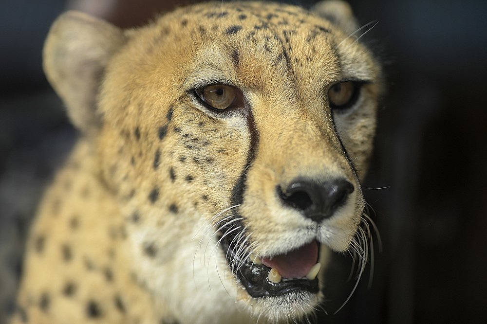 Photograph by Наталья Шалкевич