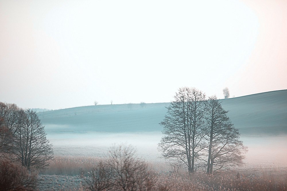 Photograph by Наталья Шалкевич