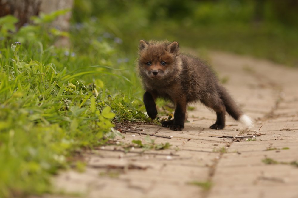 Photograph by Ирина Овчинникова